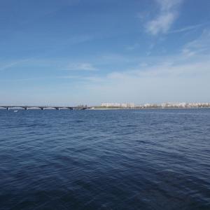 Чернавский мост и кус левого берега
