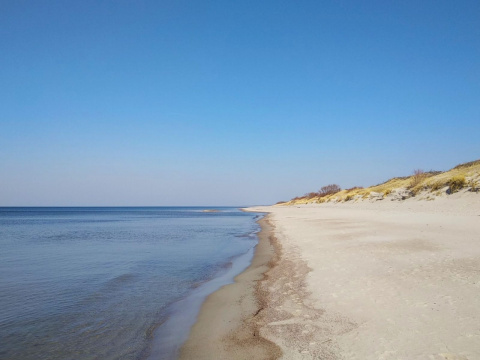 Дорога к посёлку Морское вдоль Балтийского моря