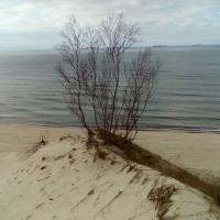 Балтийская коса, дюны, море