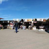 Лотков осталось где-то с десяток Лотков осталось где-то с десяток