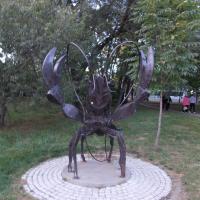 Не лебедь и не щука Не лебедь и не щука