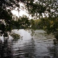 Вид с острова птиц