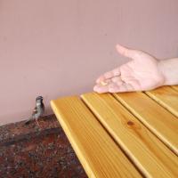 Третьим будешь?