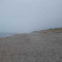 Запомните этот домик, следующий будет через 9 километров