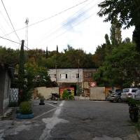 У хостела вас всегда встречает попугай
