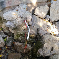 Родник Аязьма-Чокрак, тропический оазис собственной персоной Родник Аязьма-Чокрак, тропический оазис собственной персоной