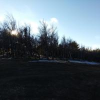 Снег на плато Ай-Петри в середине марта