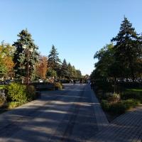 Улица превращается, превращается улица... в элегантный бульвар