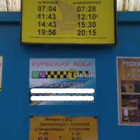 «Танцующий лес»: расписание