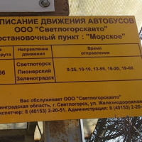 Расписание по Морскому №596