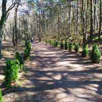 Дорога легка для туриста любого возраста
