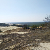 Кустарниками и ветками специально укрепляют дюны, чтобы препятствовать их передвижению