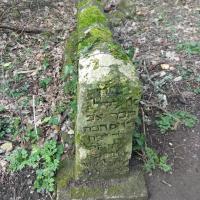 Тропинка идёт прямо сквозь древнее кладбище