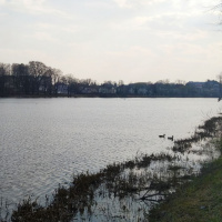 Городское — озеро, а улица Прудовая