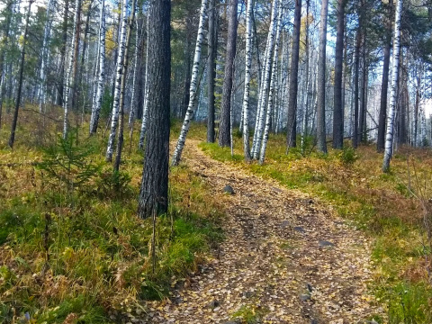 Как проехать на черную сопку на машине в красноярске. Смотреть фото Как проехать на черную сопку на машине в красноярске. Смотреть картинку Как проехать на черную сопку на машине в красноярске. Картинка про Как проехать на черную сопку на машине в красноярске. Фото Как проехать на черную сопку на машине в красноярске