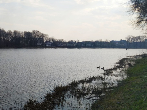 Городское — озеро, а улица Прудовая