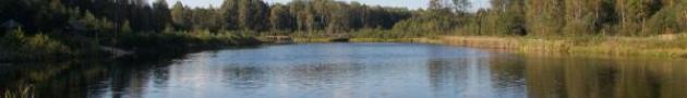 Беловежская пуща: озеро Плянта-1