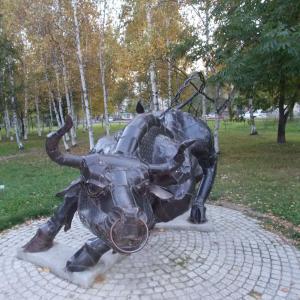Если бык оказался вдруг... Если бык оказался вдруг...