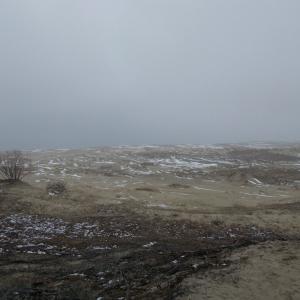 Если хорошо вглядываться, можно различить на заднем плане Куршский залив Если хорошо вглядываться, можно различить на заднем плане Куршский залив