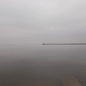 Куршский залив Куршский залив