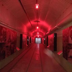 Красный коридор в фотографиях расскажет о последствиях применения ядерного оружия