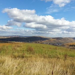 Село Зыково скрывается за полями