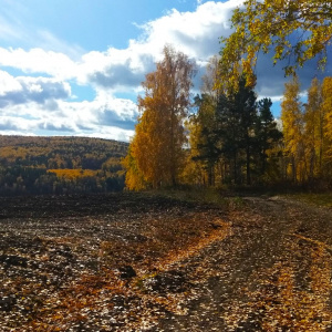 Как проехать на черную сопку на машине в красноярске. Смотреть фото Как проехать на черную сопку на машине в красноярске. Смотреть картинку Как проехать на черную сопку на машине в красноярске. Картинка про Как проехать на черную сопку на машине в красноярске. Фото Как проехать на черную сопку на машине в красноярске
