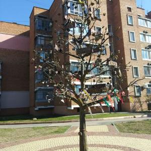 Генеалогическое дерево Керчи (перекрёсток Самойленко и Карла Маркса)