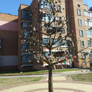 Генеалогическое дерево Керчи (перекрёсток Самойленко и Карла Маркса) Генеалогическое дерево Керчи (перекрёсток Самойленко и Карла Маркса)