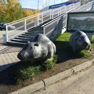 в чем идти на столбы. Смотреть фото в чем идти на столбы. Смотреть картинку в чем идти на столбы. Картинка про в чем идти на столбы. Фото в чем идти на столбы