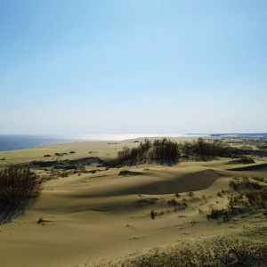 Из-за песка выглядывает Куршский залив