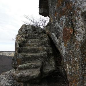 Лестница выглядит не самой надёжной, но выбора нет